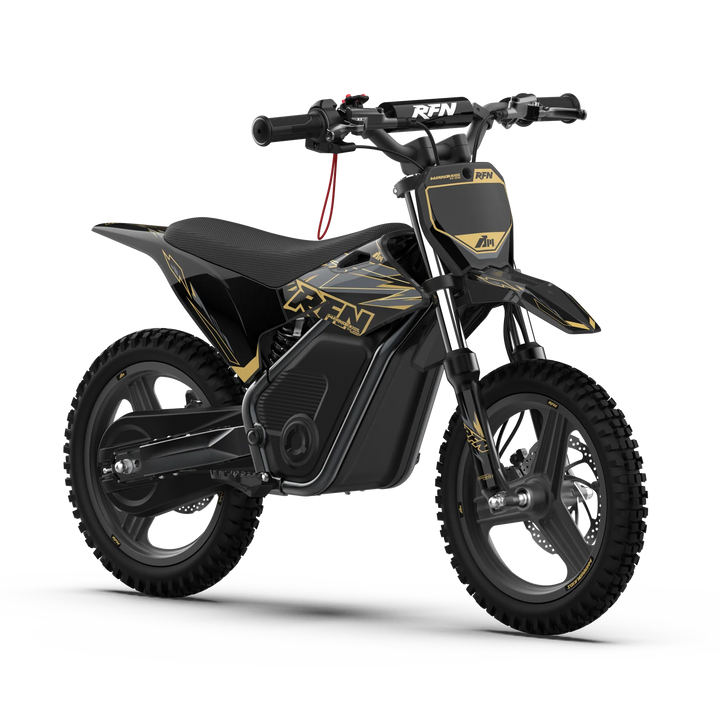 WARRIOR KIDS SX-E500 Electric Bike