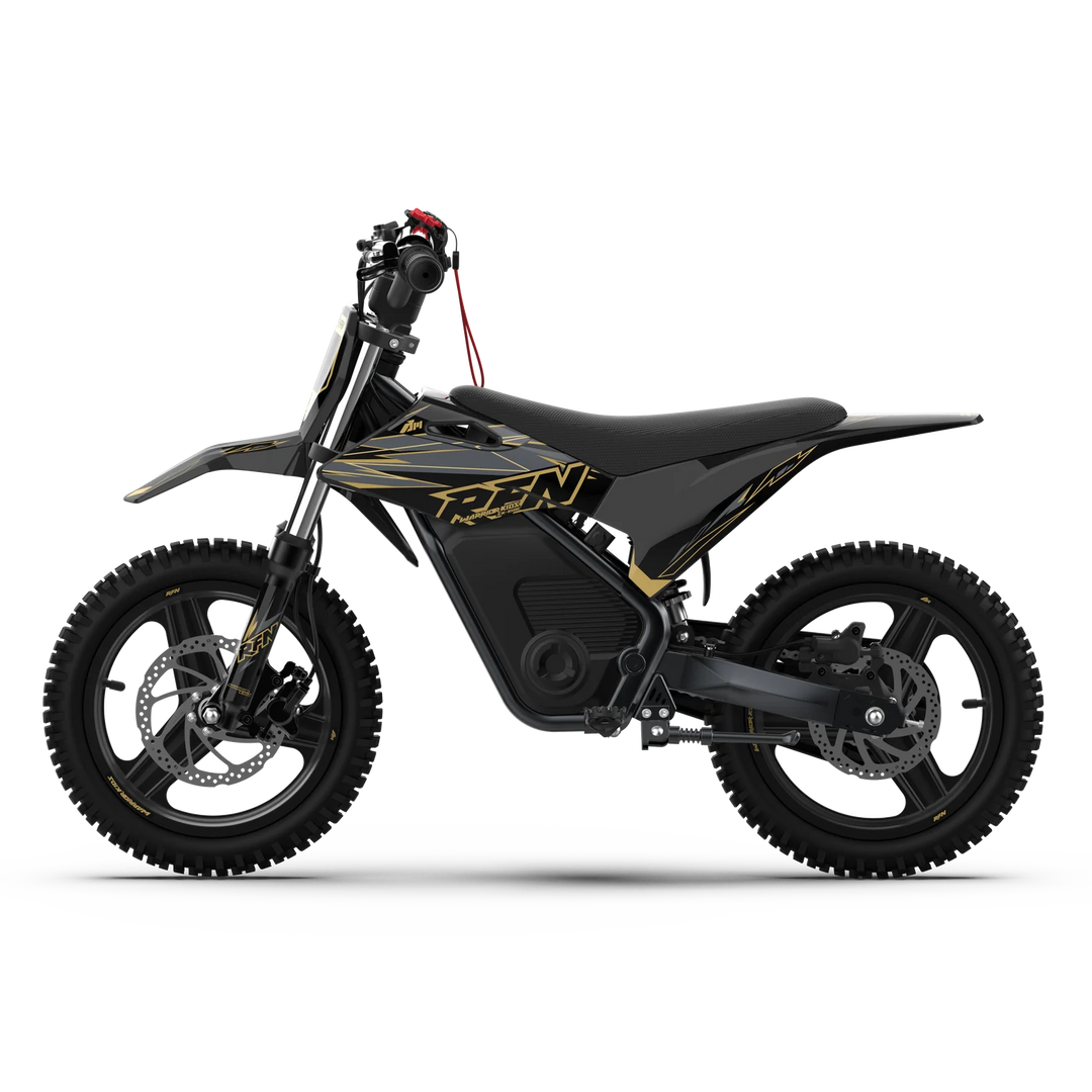 WARRIOR KIDS SX-E500 Electric Bike