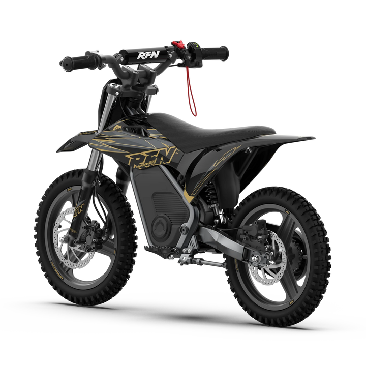 WARRIOR KIDS SX-E500 Electric Bike