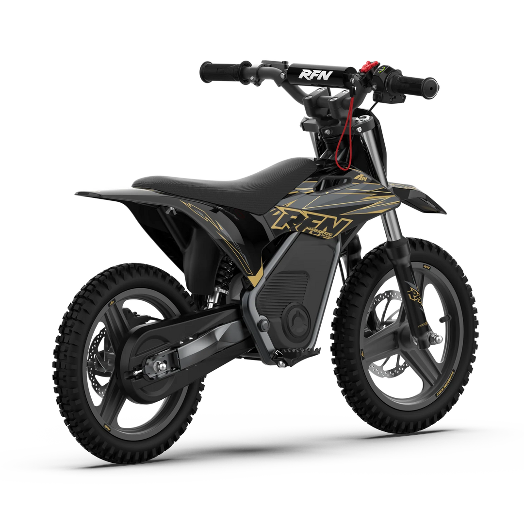 WARRIOR KIDS SX-E500 Electric Bike