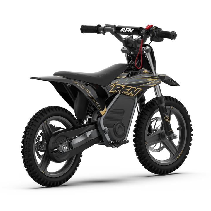 WARRIOR KIDS SX-E500 Electric Bike