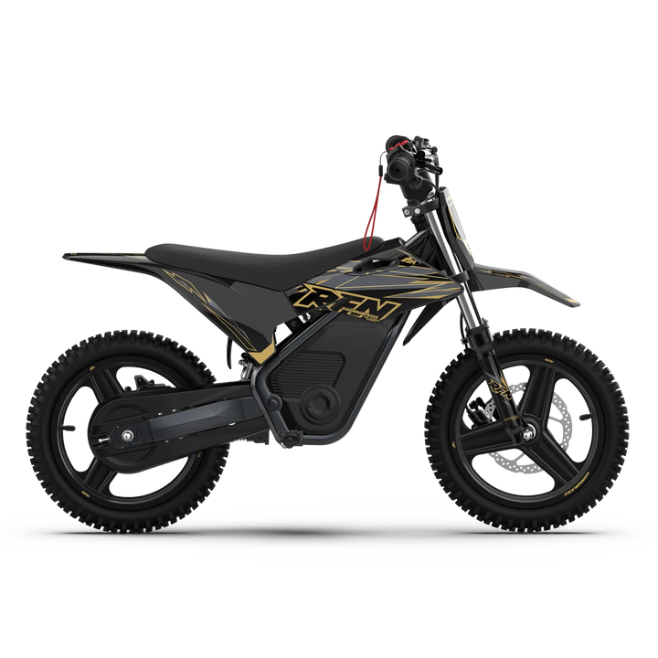 WARRIOR KIDS SX-E500 Electric Bike